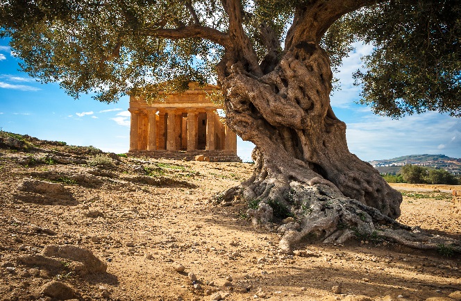 12-daagse Sicilië Roadtrip De Beste Fly Drive Ervaring 3